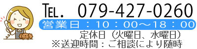 加古川市　ドッグサロン reve電話番号