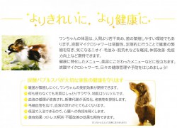 ペットのための炭酸バブルスパが大切な家族の健康を守ります